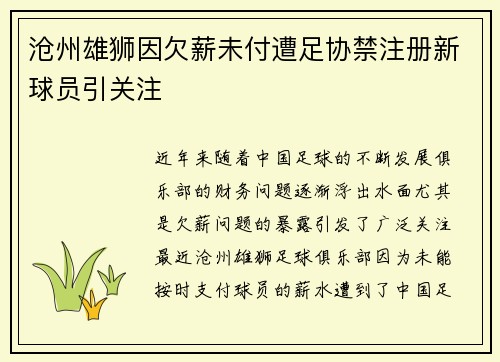 沧州雄狮因欠薪未付遭足协禁注册新球员引关注